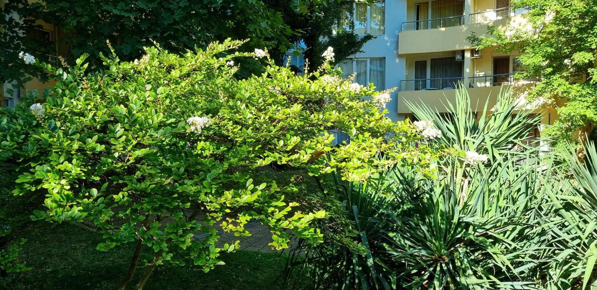 Niko Apartments サニービーチ エクステリア 写真